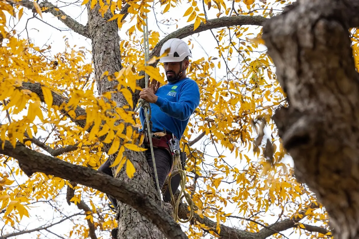 Skilled Storm Damage Cleanup crew working in Brickeys